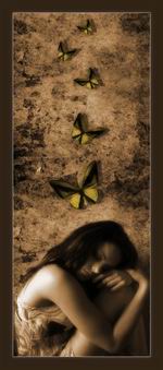<strong>Mariposas sobrevuelan un olvido...</strong>
